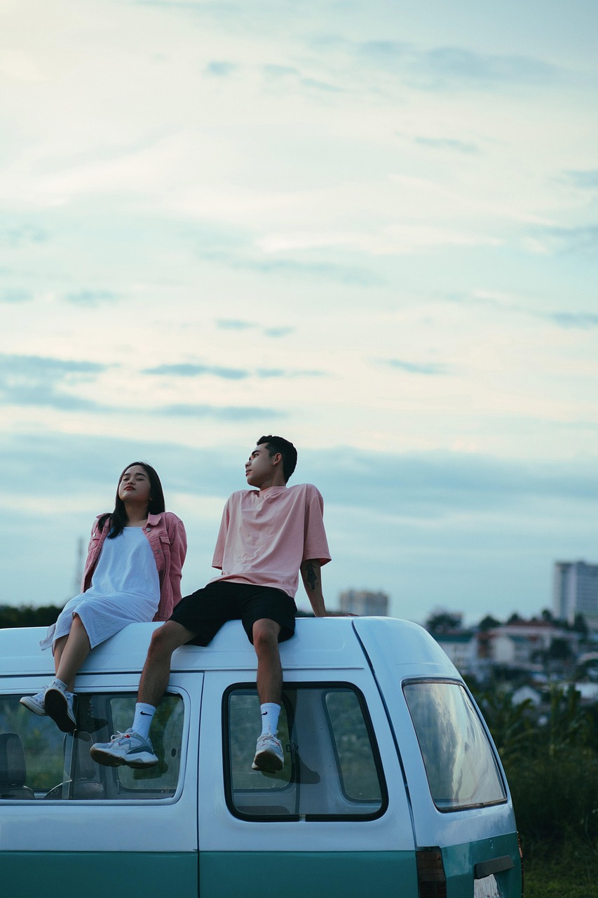 couple, van, nature, sundown, field, camper, sunset